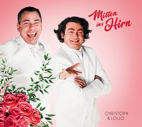 Mitten ins Hirn – Cover